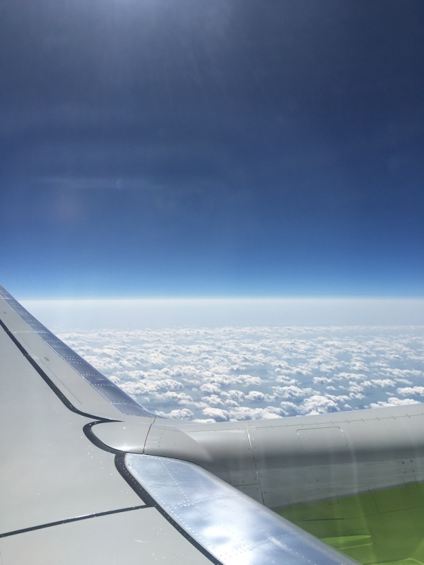 d3d473356df3c9ed81e232945664bbc9_1782514792_4461.JPG